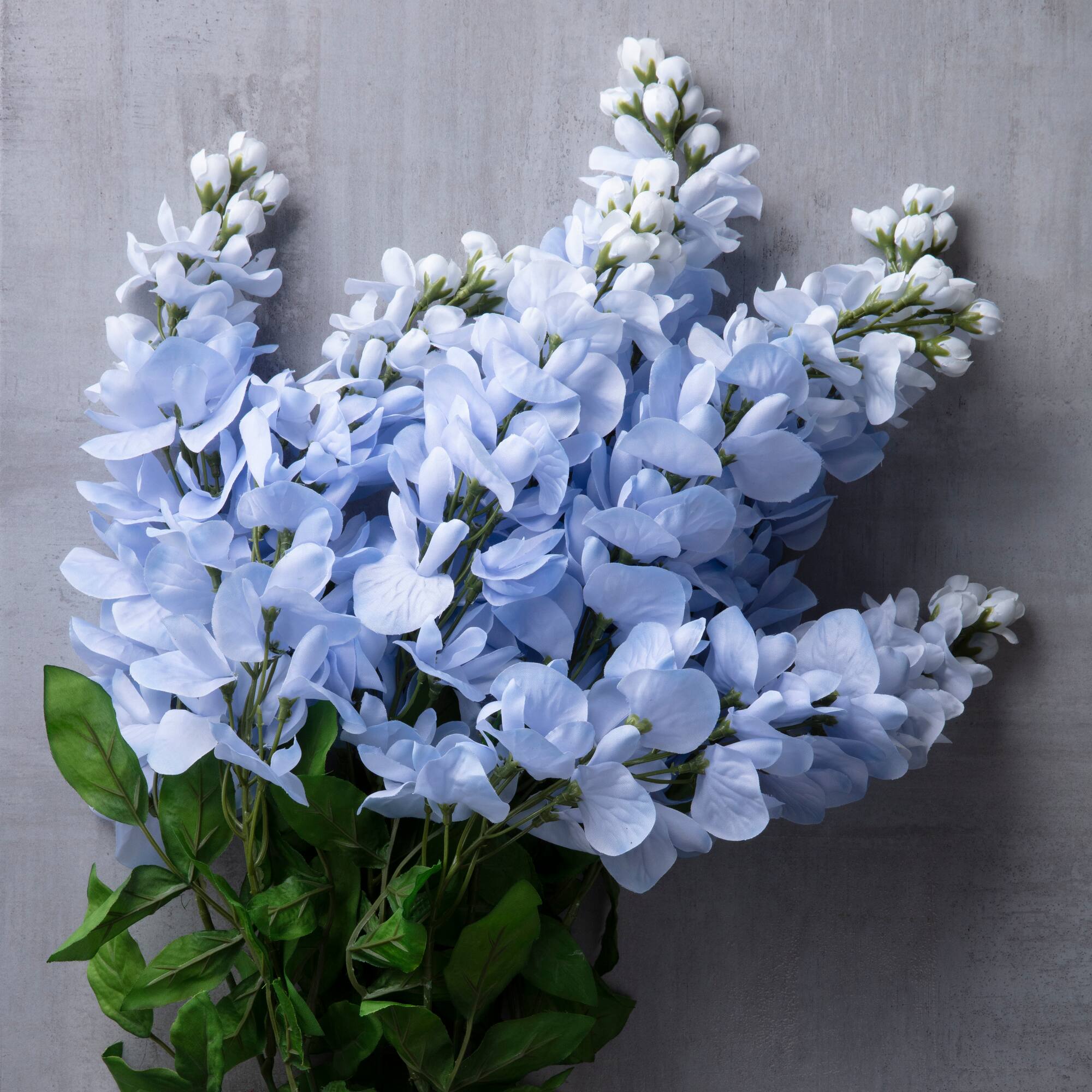 15 Pack: Blue Wisteria Bush by Ashland®